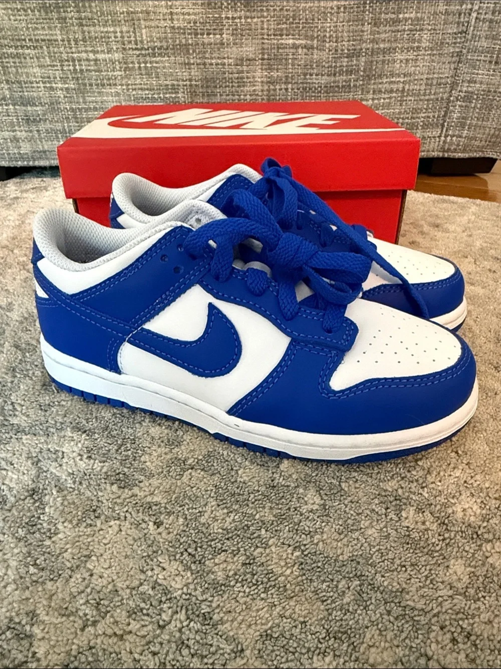 Nike Kids Blue & White Low-Top Dunk Sneakers